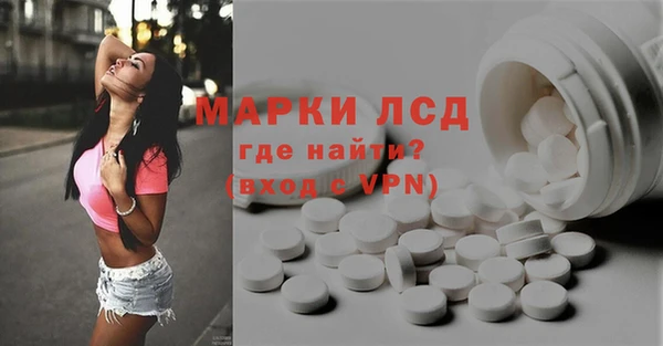 a pvp Бородино
