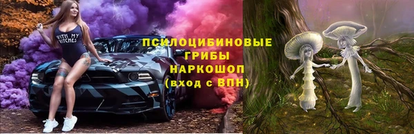 a pvp Бородино