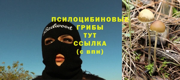 Альфа ПВП Бугульма