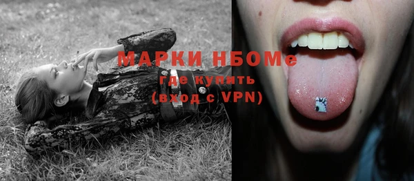 a pvp Бородино